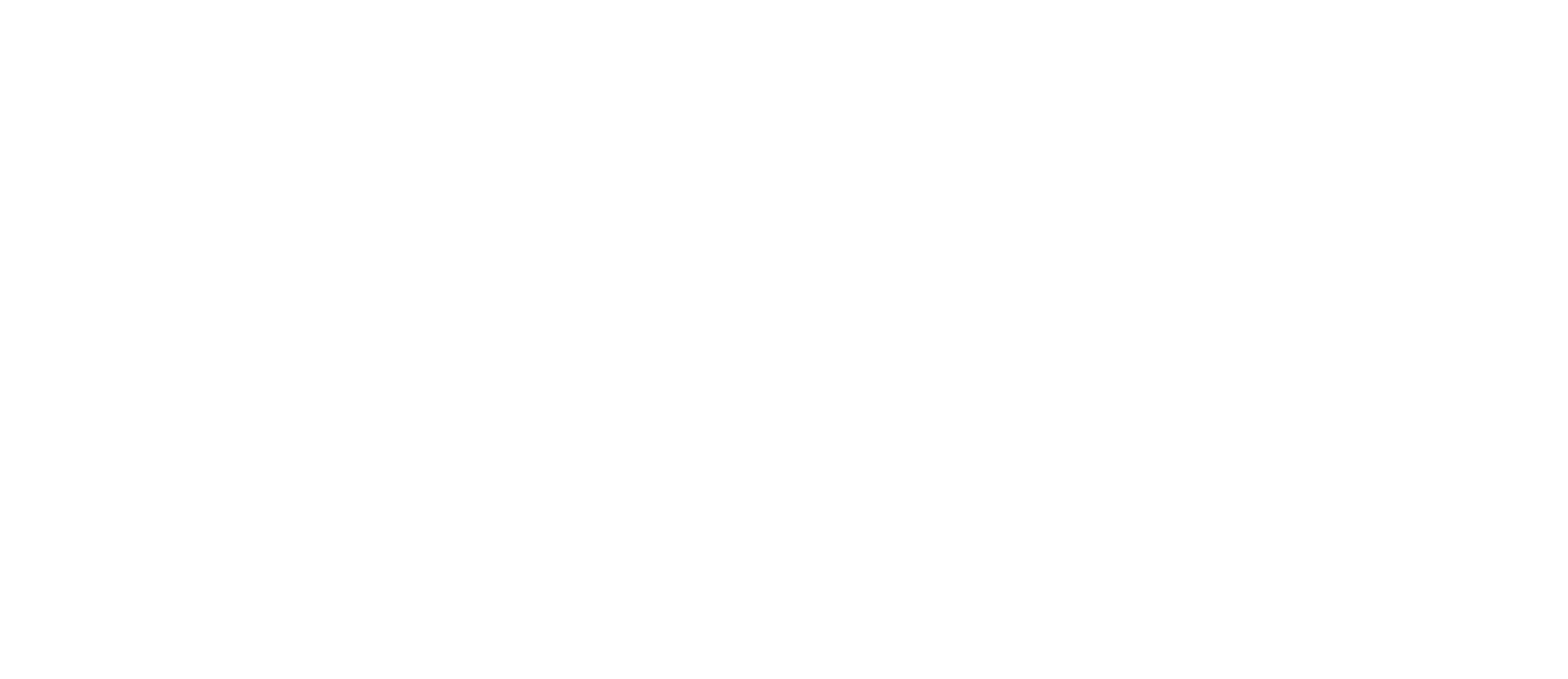 Logo de Storm Catcher en blanco