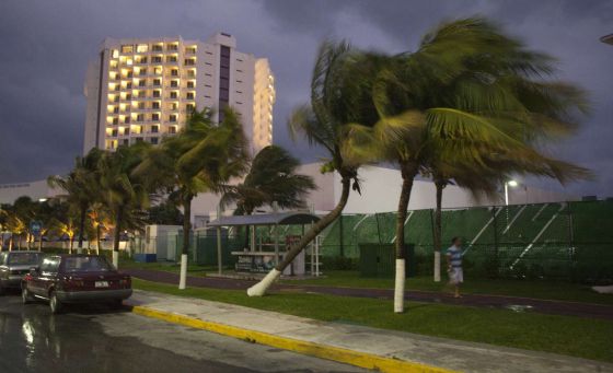What to Do During a Hurricane? | Expert Advice