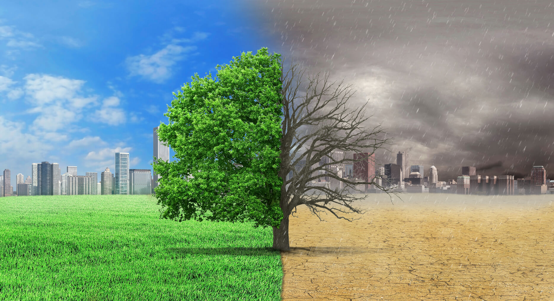 The Invisible Consequences of Climate Change - Stormcatcher